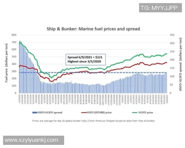 姚明明价格揭秘：影响因素与市场趋势分析